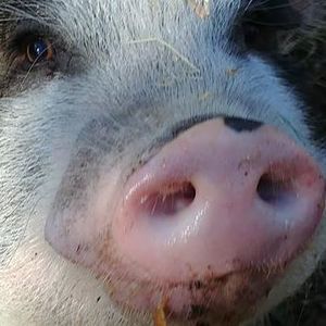 Meet your Posher, Tina